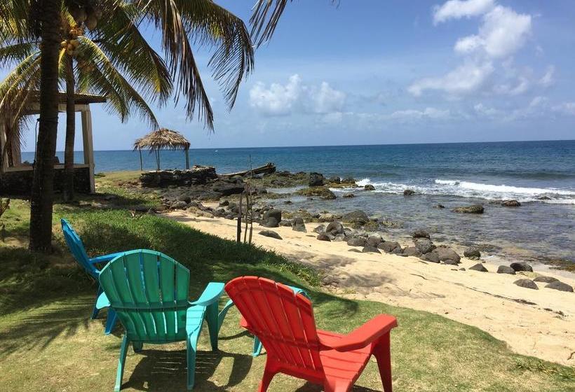 هتل La Princesa De La Isla