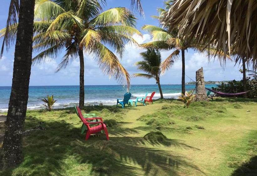 هتل La Princesa De La Isla