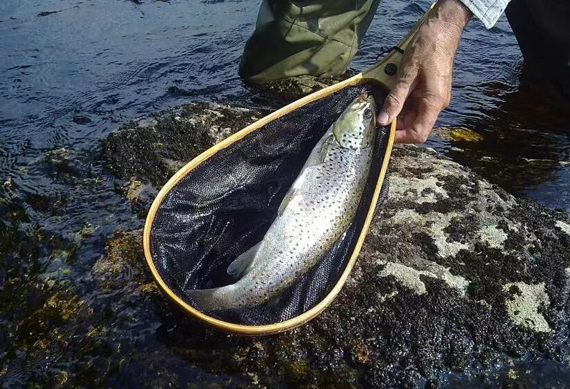 Hotelli Li Kainuu