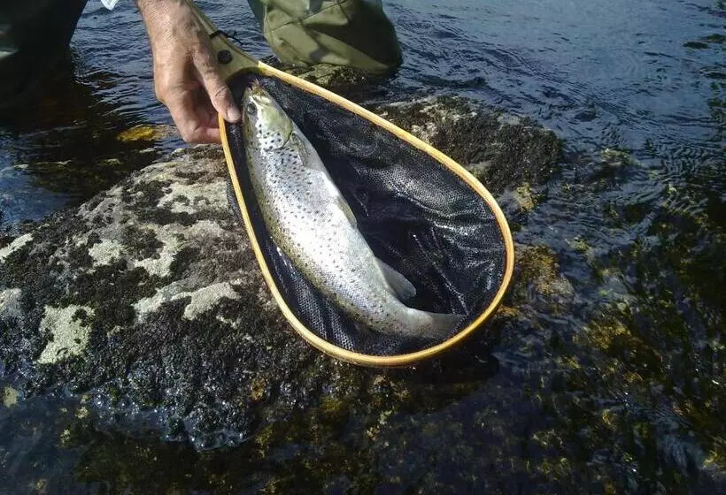Hotelli Li Kainuu