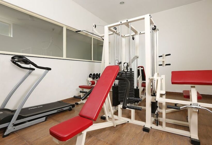 فندق Spice Grove