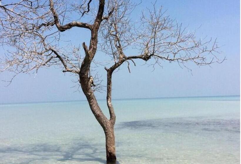 Palm Beach Bungalow Resort