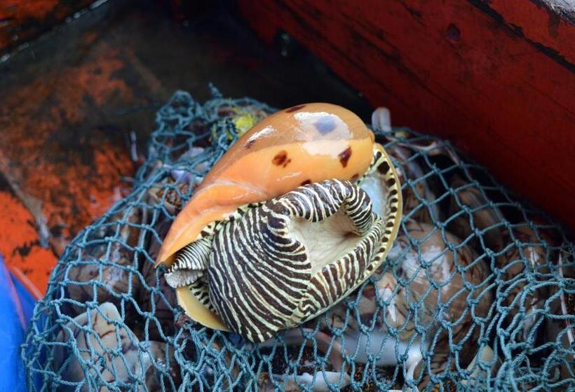 Palm Beach Bungalow Resort