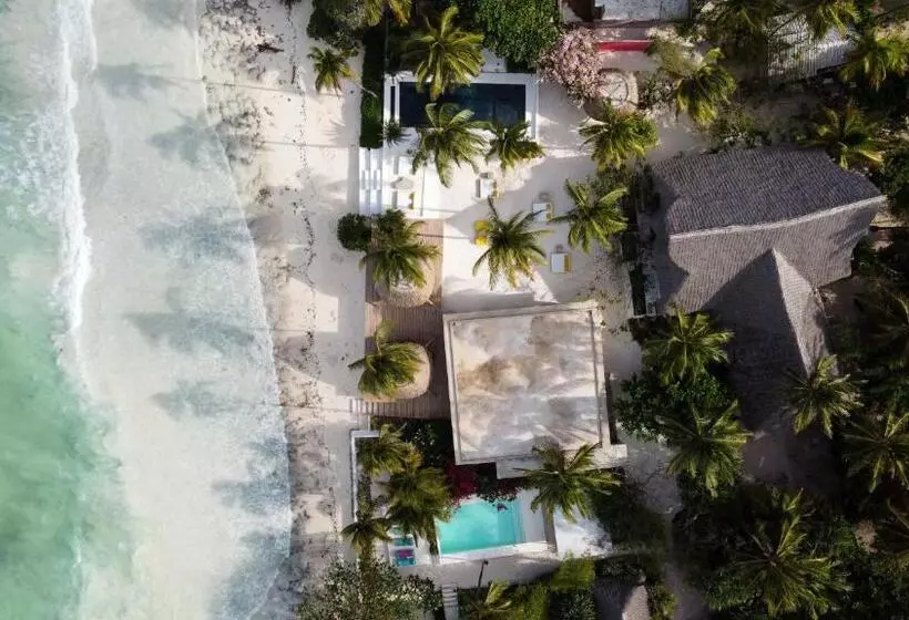 リゾートホテル Upendo Beach Boutique Hotel Zanzibar