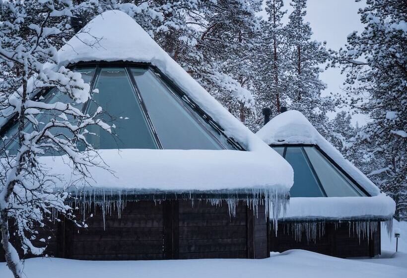 Wilderness Hotel Muotka & Igloos