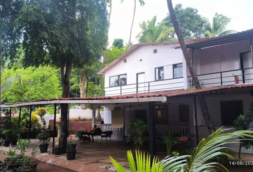 Hotel Jangala