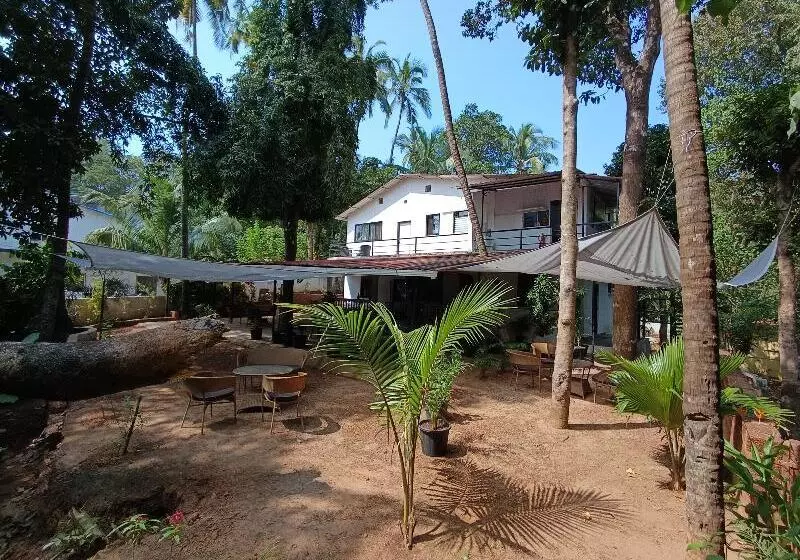 Hotel Jangala
