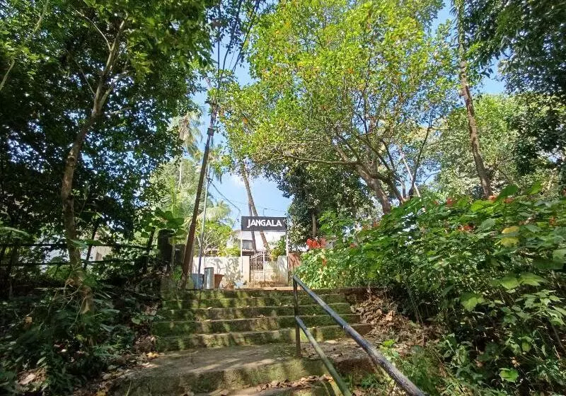Hotel Jangala