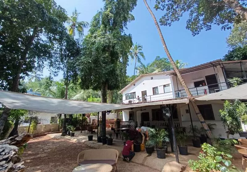 Hotel Jangala