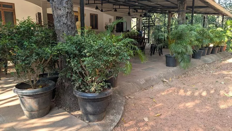 Hotel Jangala