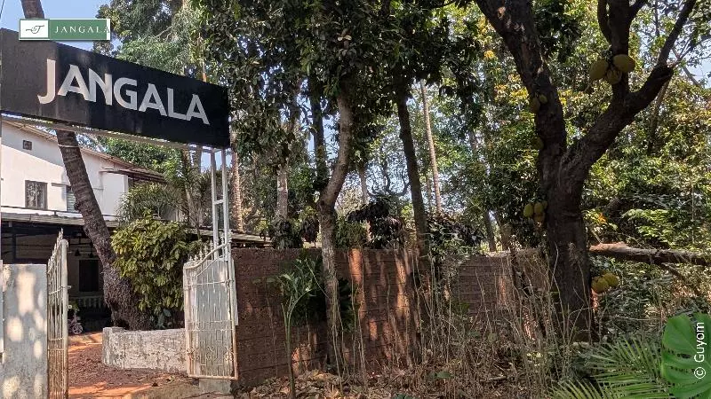 Hotel Jangala