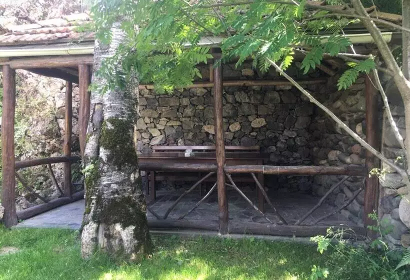 Green Hostel