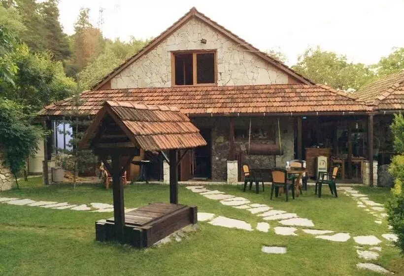 Green Hostel