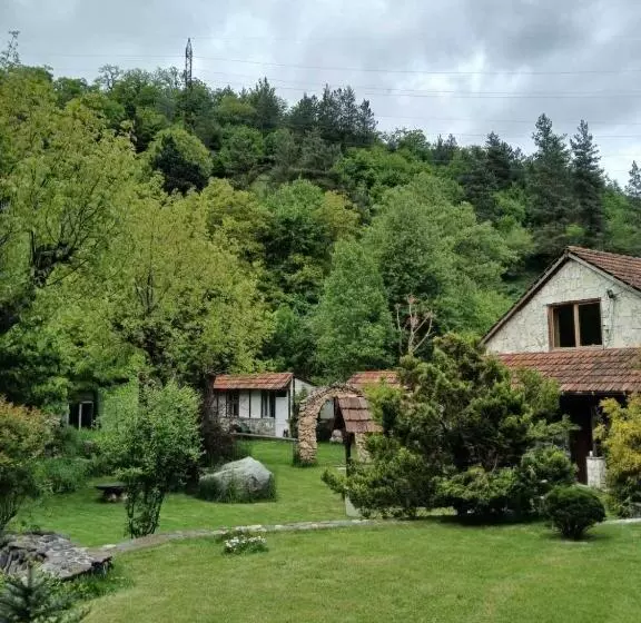 Green Hostel