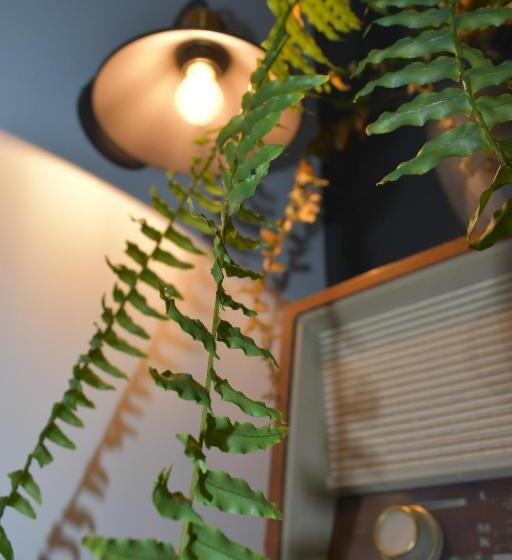 پانسیون Jazz House