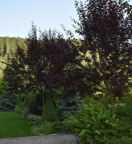 پانسیون Jazz House