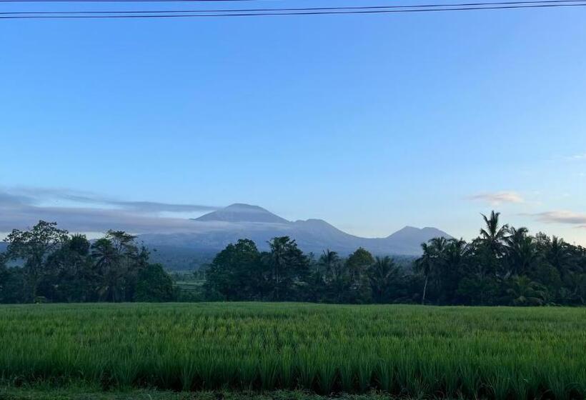 膳宿费 Rega House