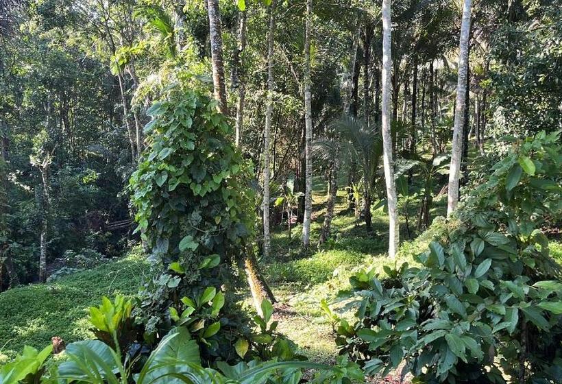 膳宿费 Rega House