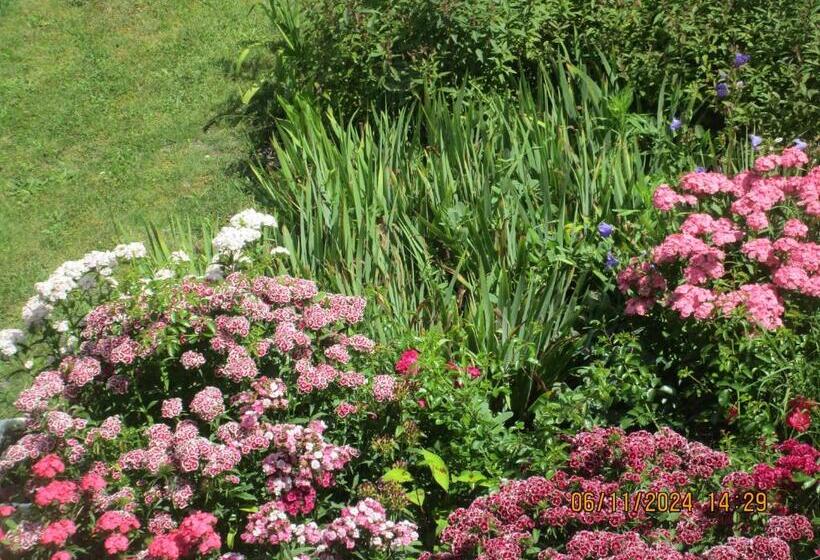 ベッドアンドブレックファースト Porte De Sologne