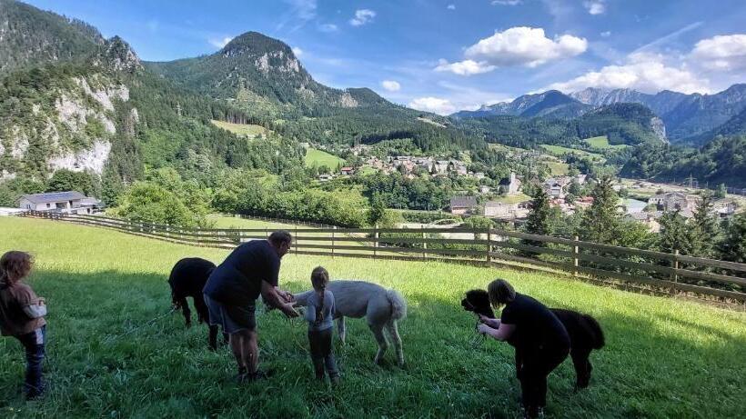 ホテル Gasthof International