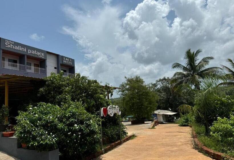 Hotelli Shalini Palace