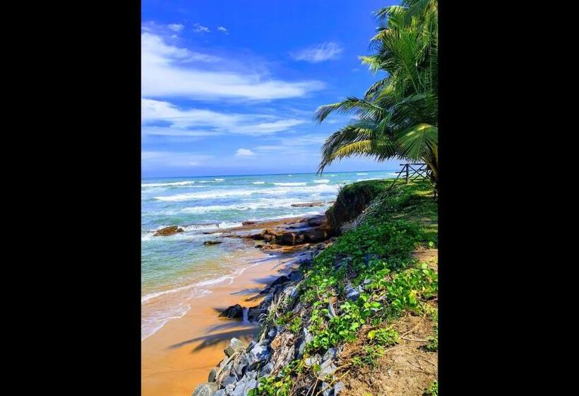 پانسیون Room In Bb   Single Room With Balcony