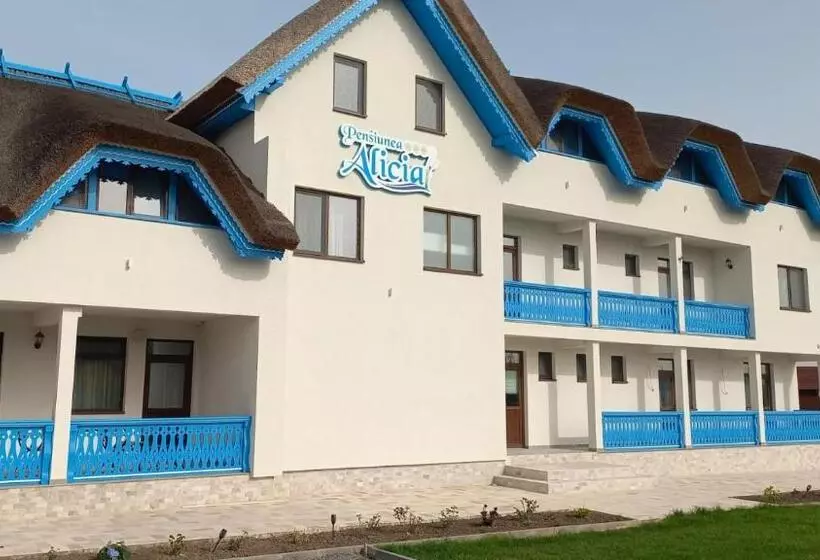 Pensiunea Alicia