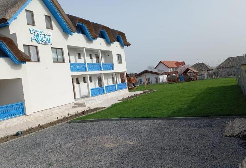 Pensiunea Alicia