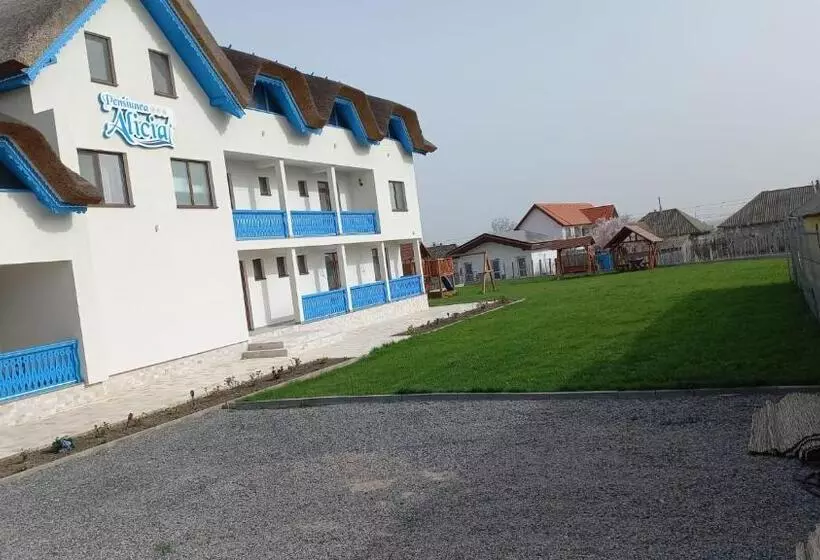 Pensiunea Alicia