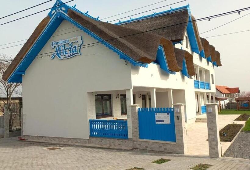 Pensiunea Alicia