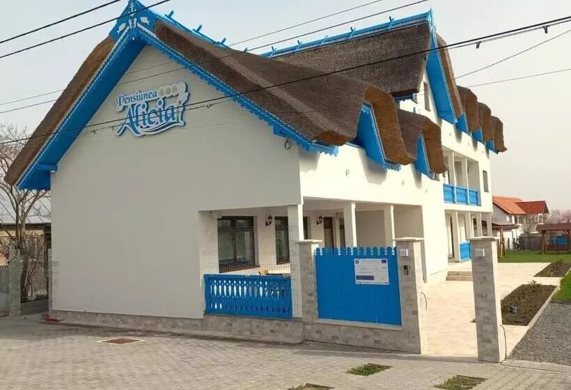 Pensiunea Alicia