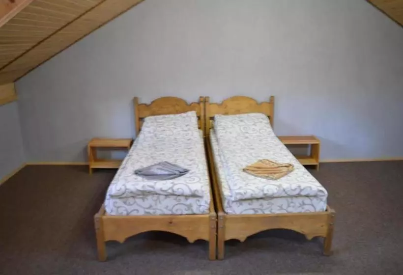 ユースホステル Guest House Mansarda