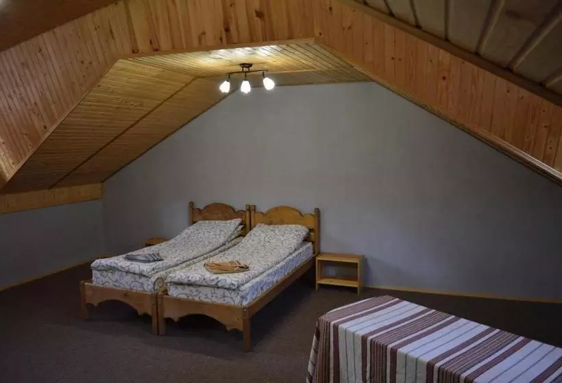 ユースホステル Guest House Mansarda