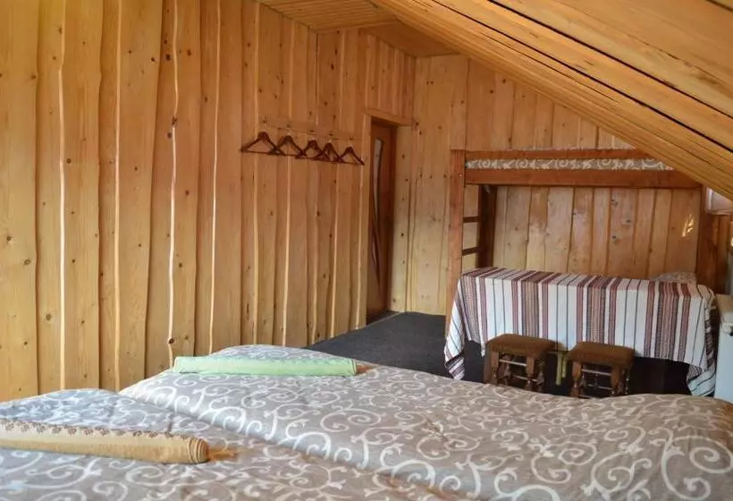 ユースホステル Guest House Mansarda