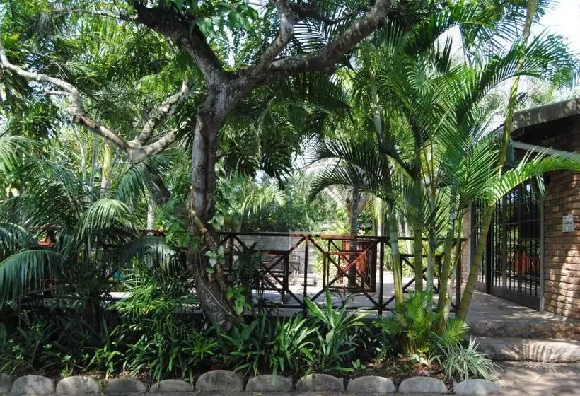 ベッドアンドブレックファースト African Dreamz Guest House