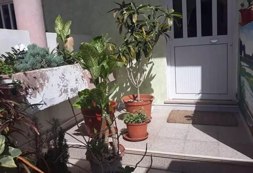 تختخواب و صبحانه Vivenda Viviani