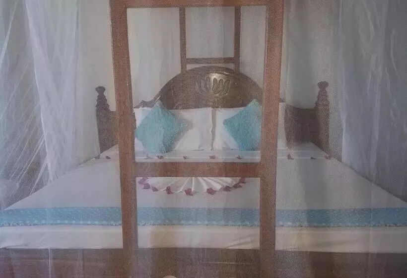 ホテル Baraka Beach Bungalows