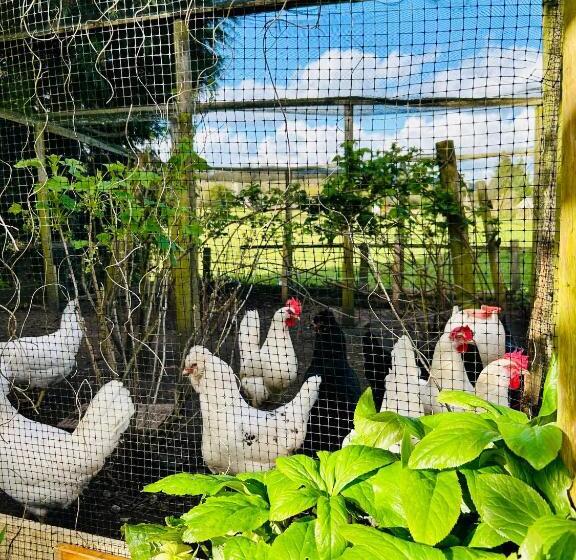 호스텔 The Stagg Inn & Classic Car Experience