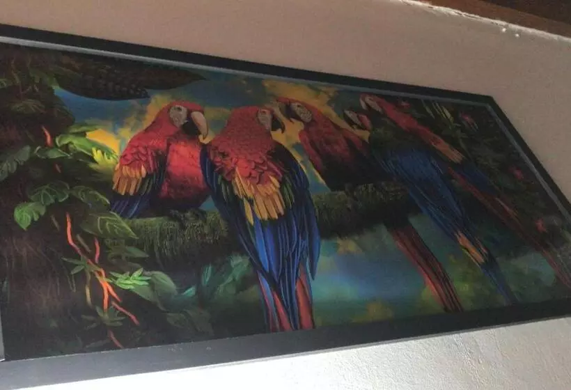 هتل La Vie En Rose Ctg