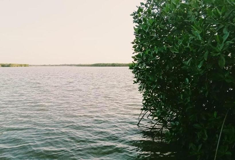 Bed and Breakfast Arjuna Lagoon Resort