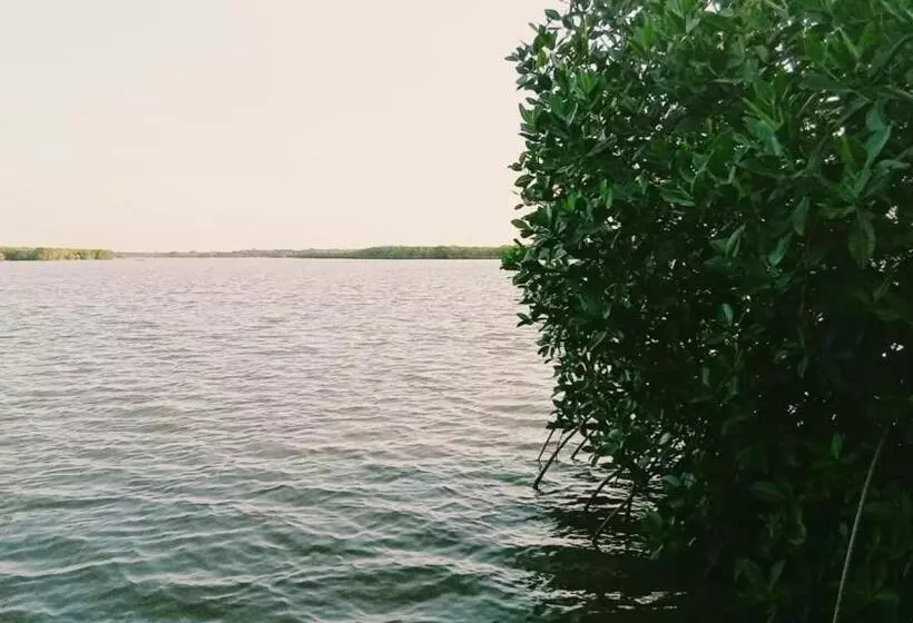 ベッドアンドブレックファースト Arjuna Lagoon Resort