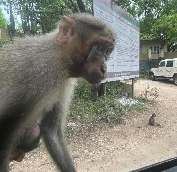 膳宿费 Chaithanya Illam