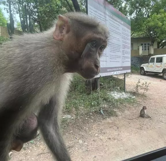 Majatalo Chaithanya Illam