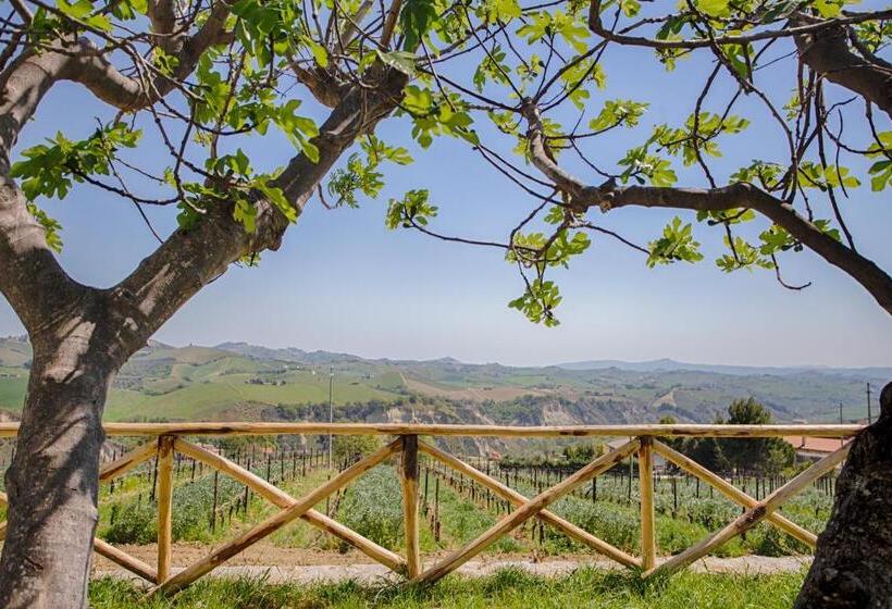Bed and Breakfast La Terrazza Sul Vigneto