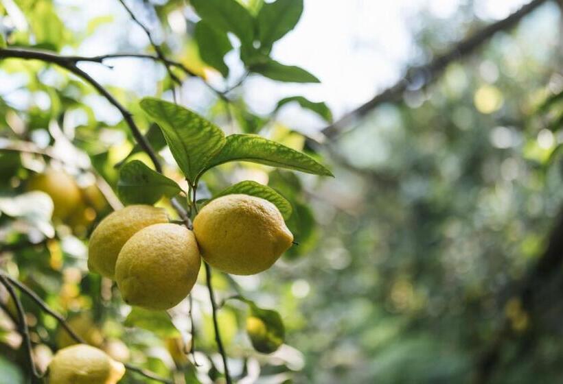 Отель Agriturismo Nonno Antonino