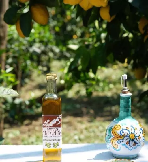 ホテル Agriturismo Nonno Antonino