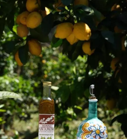 ホテル Agriturismo Nonno Antonino