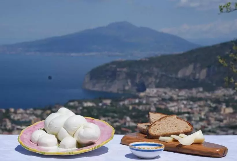 ホテル Agriturismo Nonno Antonino