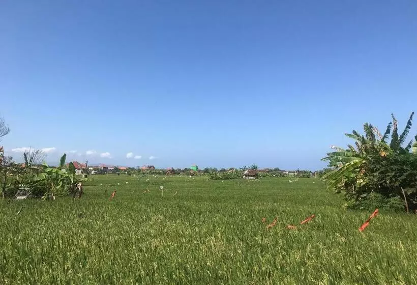 Ketewel Bed & Breakfast Niti Room