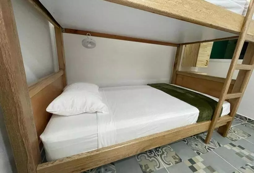 ペンション Casa Lupe Hostal